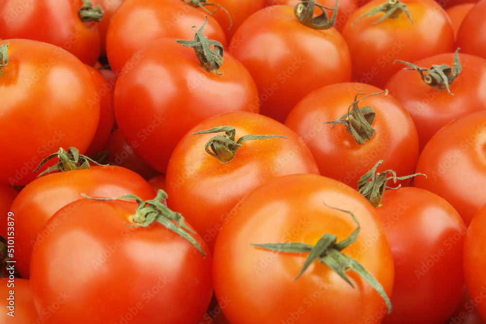 Many ripe tomatoes close up. Tomato background. Many ripe tomatoes close up. Tomato background.