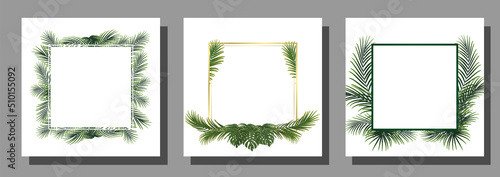 set of frame with palm leaf