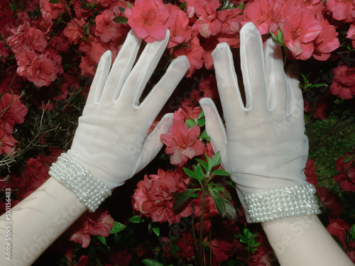 White Dress Gloves and Pink Blossoms