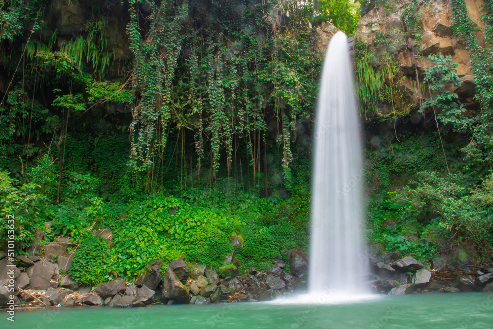 Waterfall scenery background surrounded by greenery in the forest Waterfall scenery background surrounded by greenery in the forest