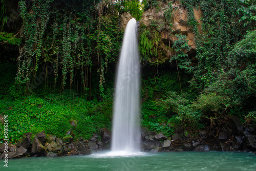 Fototapeta Naklejka Na Ścianę i Meble -  Waterfall scenery background surrounded by greenery in the forest