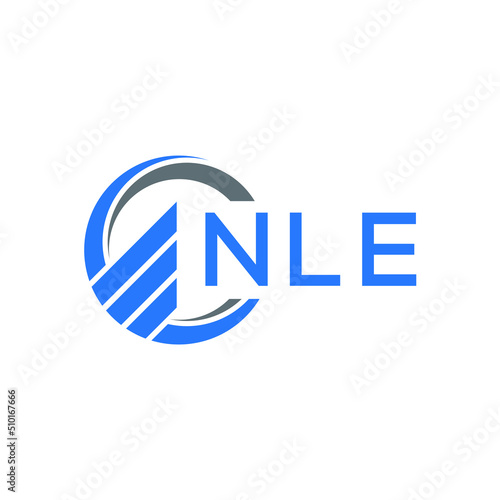 NLE Flat accounting logo design on white  background. NLE creative initials Growth graph letter logo concept. NLE business finance logo design. photo