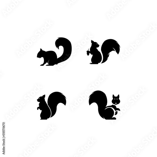 squirrel logo vector icon illustration
