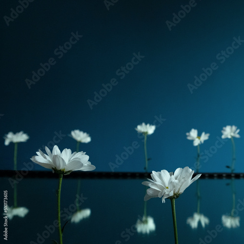 White flowers
