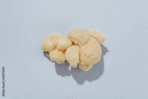 Lion's mane mushroom