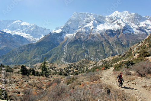 Leo in the mountains photo