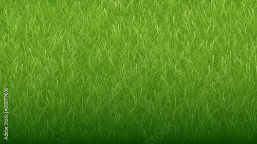 Green natural organic grass background and texture