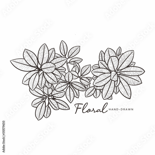 floral hand drawn 