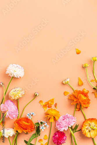 Rainbow Ranunculus Floral Flat Lay Background