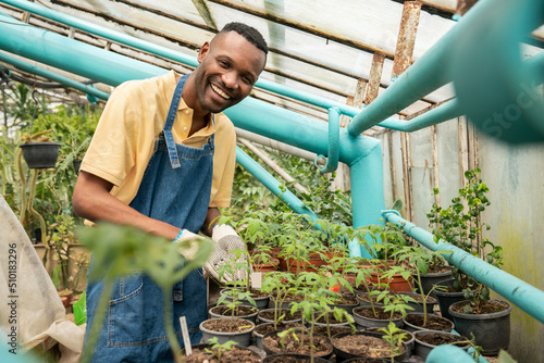 Man Working In Hothouse 