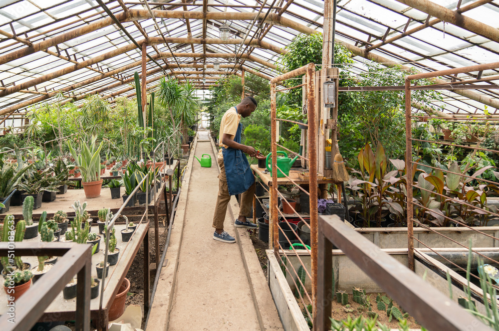 Busy Man In Greenhouse Busy Man In Greenhouse
