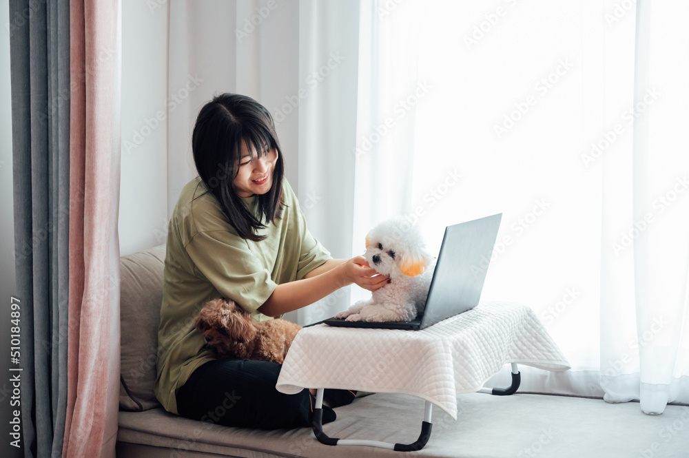 Young woman using laptop with her pet dogs Young woman using laptop with her pet dogs