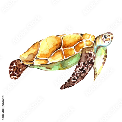 Watercolor hand drawn sea turtle isolated on a white background wallpaper. Cartoon animal vector illustration art © Cavid