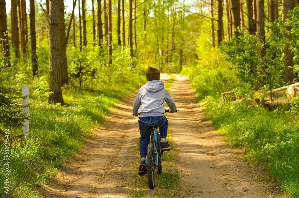 Preteen handsome boy with bicycle on the forest path