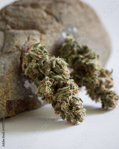 Cannabis buds trimmed and dried against a neutral light background