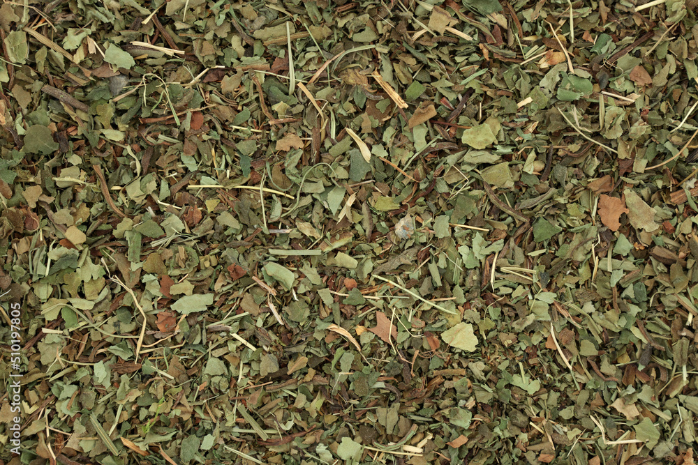 Lungwort herb leaf background. Herbal plant medicine to treat lung diseases, breathing conditions. Remedy for stomach, intestinal, kidney, urinary tract problems. Pulmonaria. Lungwort herb leaf background. Herbal plant medicine to treat lung diseases, breathing conditions. Remedy for stomach, intestinal, kidney, urinary tract problems. Pulmonaria.