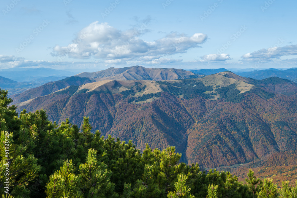 Fototapeta premium Autumn morning Carpathian Mountains calm picturesque scene, Ukraine.