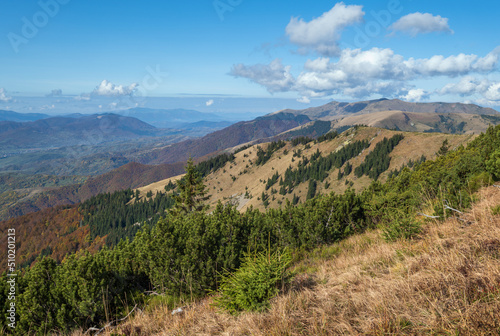 Autumn morning Carpathian Mountains calm picturesque scene, Ukraine. © wildman