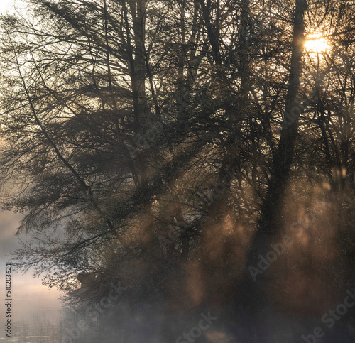 Fototapeta Naklejka Na Ścianę i Meble -  Beautiful landscape image of sunrise mist on urban lake with sun beams streaming through tress lighting up water surface