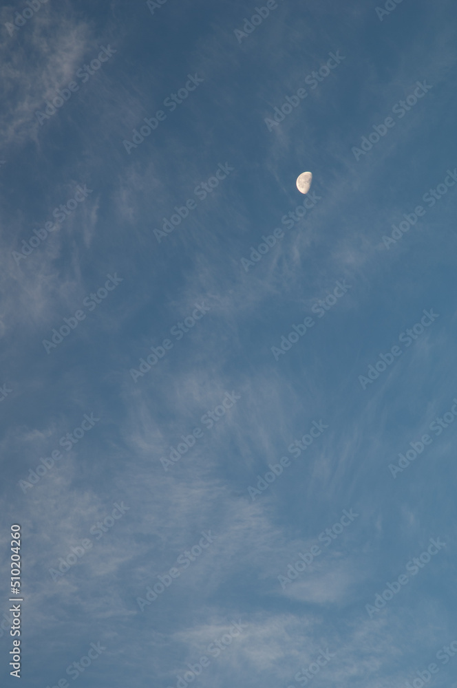 Moon and clouds in the Langue de Barbarie National Park. Saint-Louis. Senegal. Moon and clouds in the Langue de Barbarie National Park. Saint-Louis. Senegal.