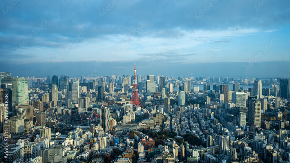 日本の東京タワー