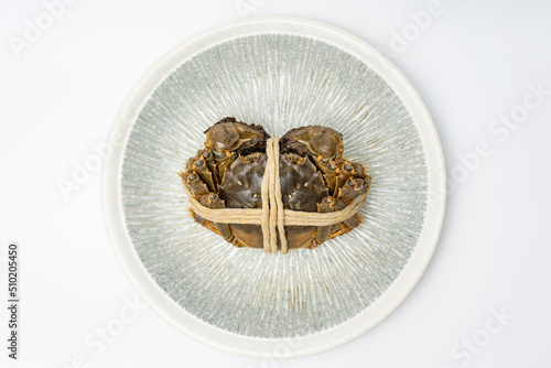 A hairy crab on a white background, a river crab