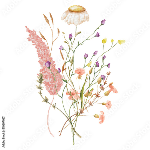Wild flowers watercolor bouquet botanical hand drawn illustration