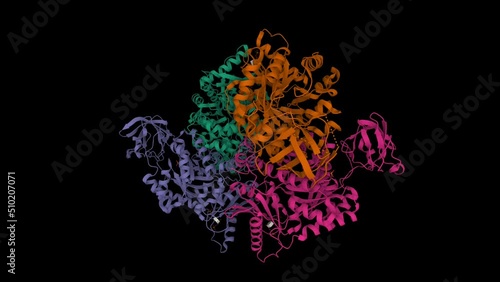 Structure of the human erythrocyte pyruvate kinase tetramer. Animated 3D cartoon and Gaussian surface models, PDB 2vgb, black background. photo