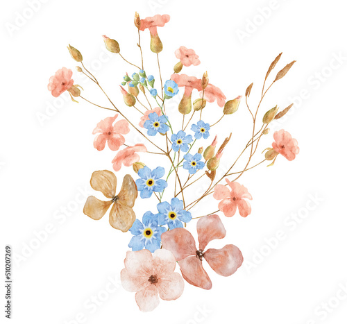 Wild flowers watercolor bouquet botanical hand drawn illustration