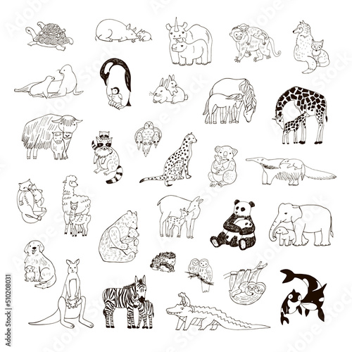 Animals with babies vector line illustrations set