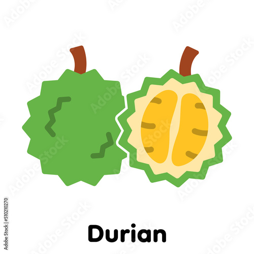 Durian icon, Vector, Illustration .