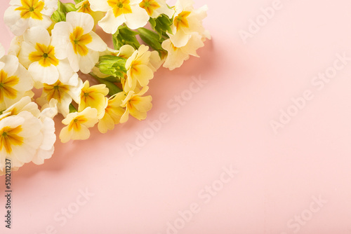 Frame of spring flowers on pink background. Flat lay  top view. Spring time background.