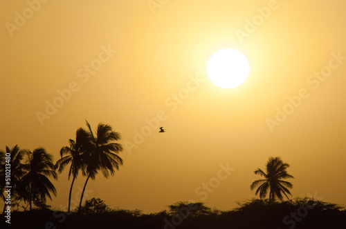 Dawn over the Senegal River. Langue de Barbarie National Park. Saint-Louis. Senegal.