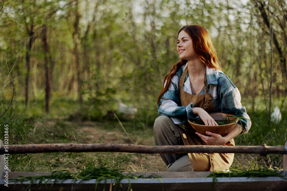 Naklejka premium A girl bird farm worker smiles and is happy pouring food into the chicken feeder in the fresh air sitting on the green grass
