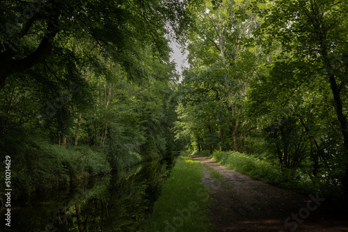 A footpath runs directly parallel with a canal through the Welsh countryside. lush green verdant trees grow in abundance in the pleasant natural surroundings of the Brecon and Monmouth canal