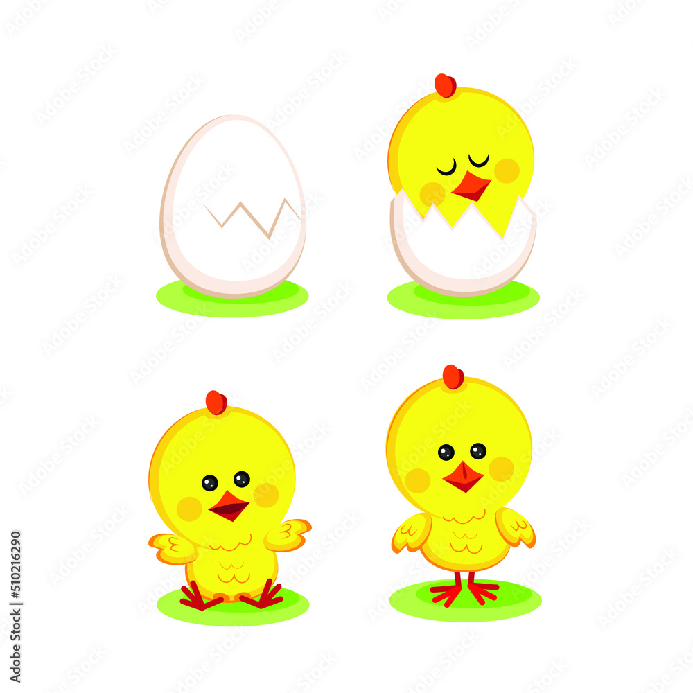 Set of cute chicks on white background Set of cute chicks on white background