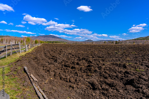South Ural farm, wooden fence and arable land with a unique landscape, vegetation and diversity of nature.