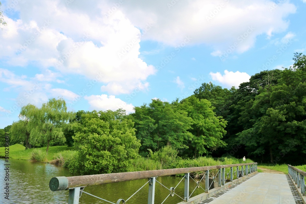 新緑が気持ち良い　橋　初夏の青空　癒しの風景　古河