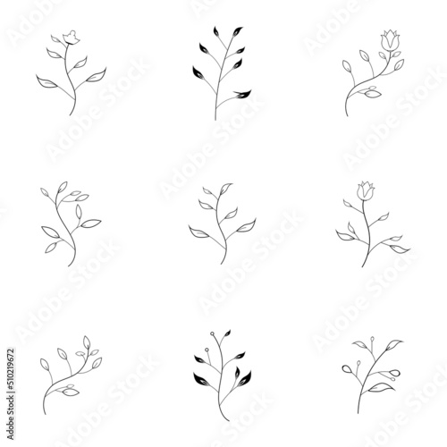 Beauty florist vector icon design template