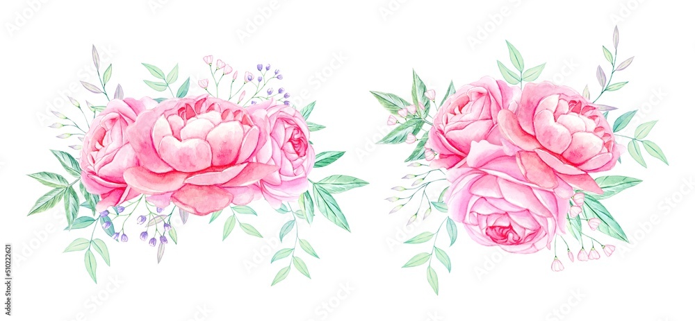 Pink peonies. Watercolor compositions of flowers. Isolated on white background