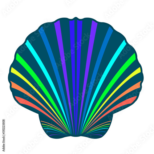 Colorful scallop shell isolated on white background 