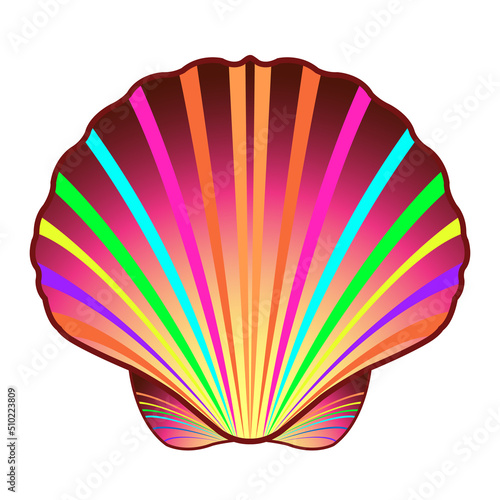 Colorful scallop shell isolated on white background