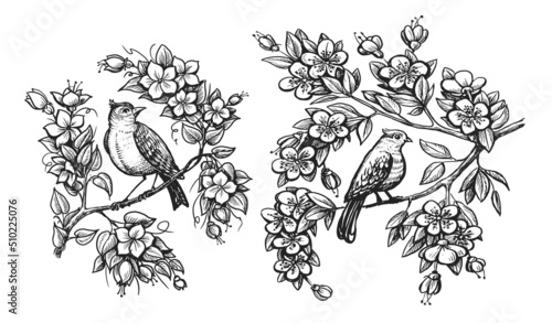 Hand drawing bird on tree branch. Nightingale and flowers in vintage engraving style. Sketch vector illustration