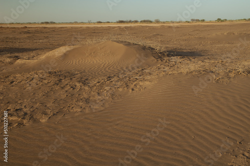 Desert landscape in the Oiseaux du Djoudj National Park. Saint-Louis. Senegal.