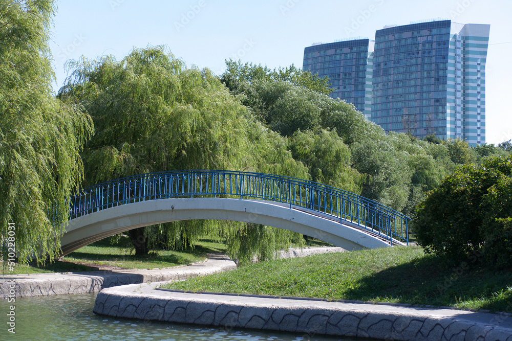 Fototapeta premium bridge over pond in park at dry sunny summer day