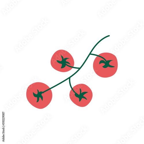 Red cherry tomatoes on green branch.Branch of tomatoes, small fresh veggies on stem. Vegetarian food, ripe small round tomatoes berries bundle. Healthy eating, recipes, agricultural shops, farm.