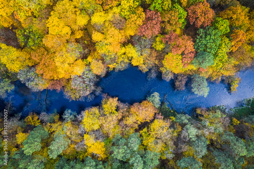 Top view of colorful forest and river at autumn