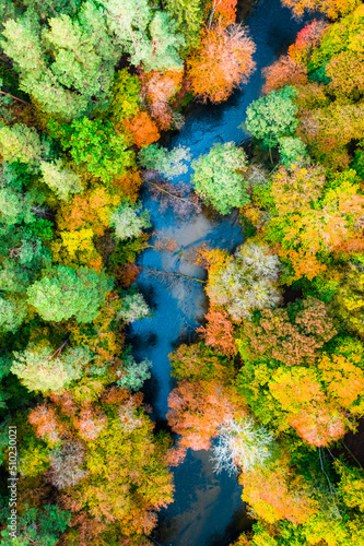 Aerial view of colorful forest and blue river in autumn