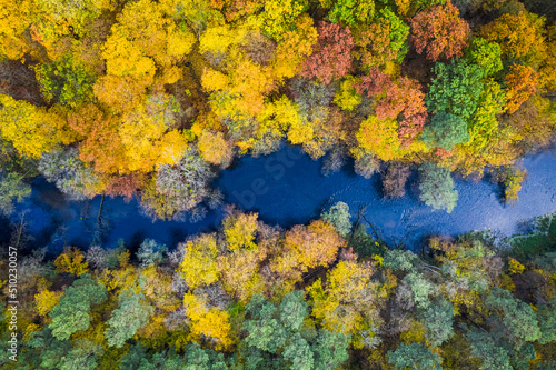 Top view of colorful forest and river at autumn © shaiith
