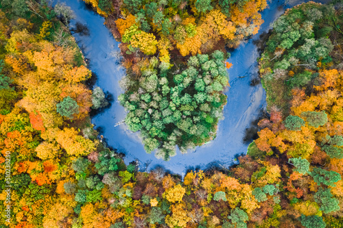 Wallpaper Mural Aerial view of blue river and stunning colorful autumn forest Torontodigital.ca